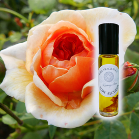Amber Rose, Natural Perfume, Parfum Naturel